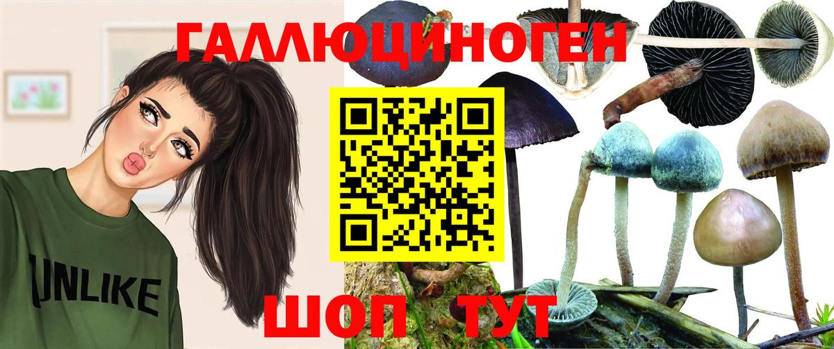 Псилоцибиновые грибы прущие грибы Рязань