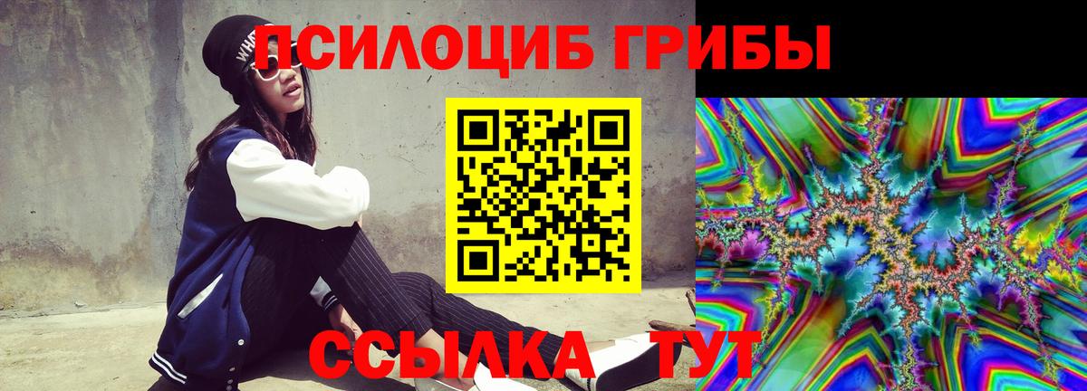 Рязань  сколько стоит  Вход с VPN  Псилоцибиновые грибы Cubensis 